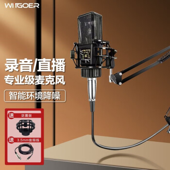 智國者專業(yè)電腦麥克風(fēng)聲卡直播電競外設(shè)電容降噪游戲k歌錄音主播